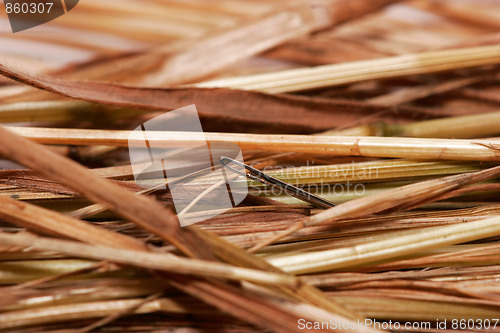 Image of a needle in a haystack