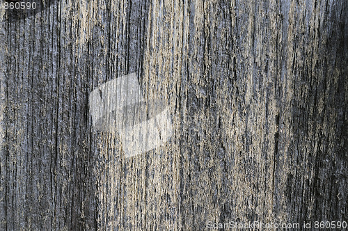 Image of Wooden Texture