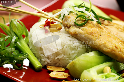 Image of Asian Chicken And Rice 