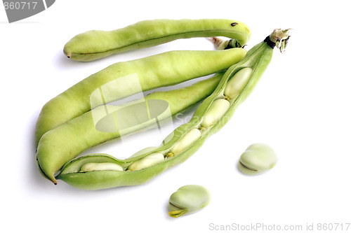 Image of Broad bean pods and two beans