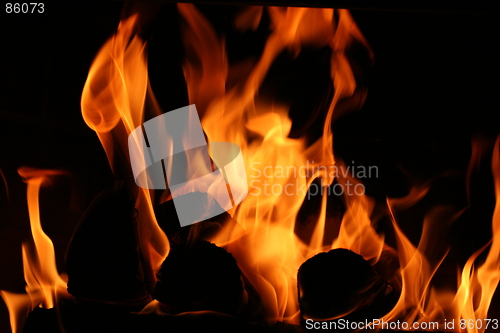 Image of Burning Logs