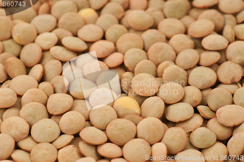 Image of green lentil background