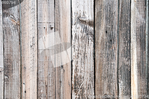 Image of Wood plank background
