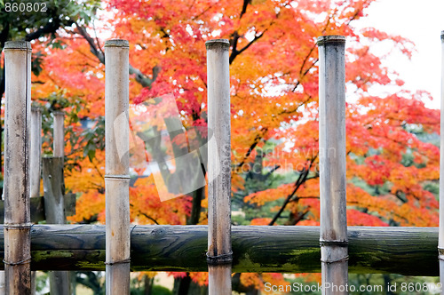 Image of Garden fence