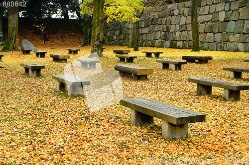 Image of Bench in garden