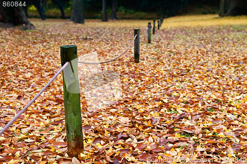 Image of View of pole fence