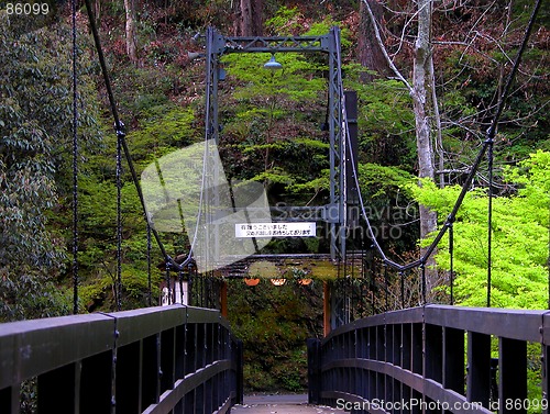 Image of The Bridge