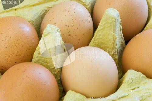 Image of eggs carton