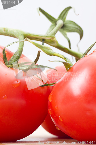 Image of fresh tomatoes