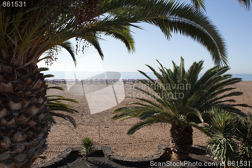 Image of The beach