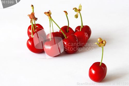 Image of Sweet cherries