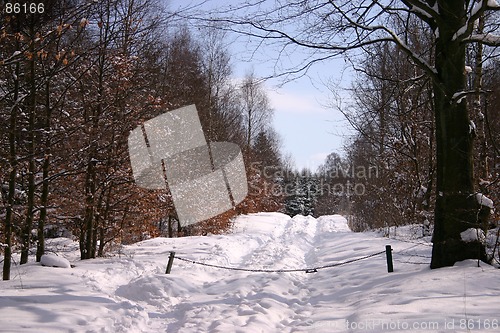 Image of winter