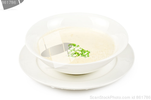 Image of cream of mushroom