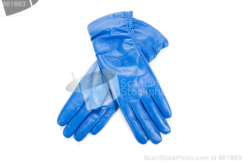 Image of female leather gloves