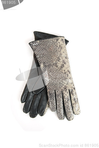 Image of leather reptile gloves