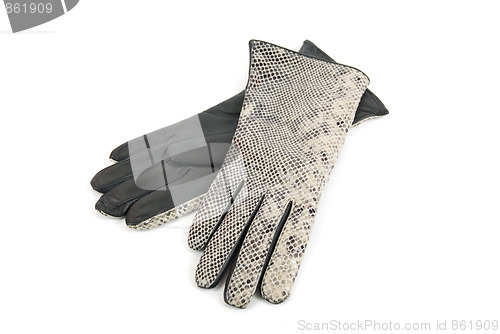 Image of Grey female reptile leather gloves