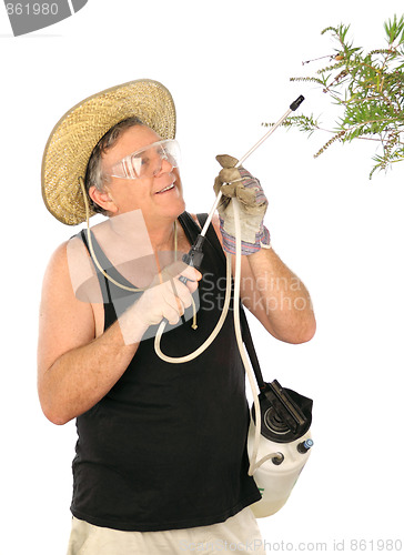 Image of Gardener Spraying Plants