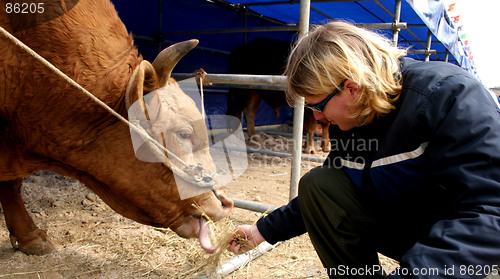 Image of Down on the farm