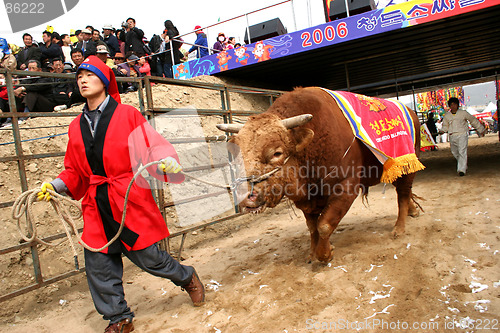 Image of Farmer and bull