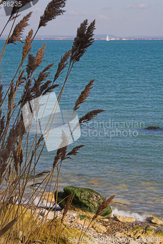 Image of Seagrass with beach & sea