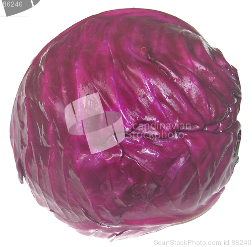 Image of Red cabbage 2