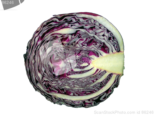 Image of Red cabbage