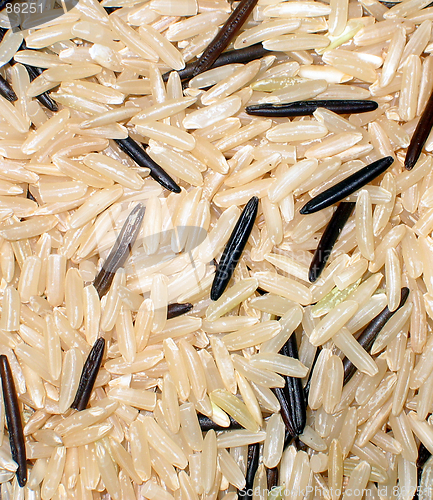 Image of Rice background