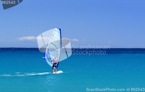 Image of man wind surfing