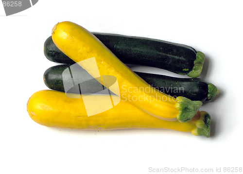 Image of Squash