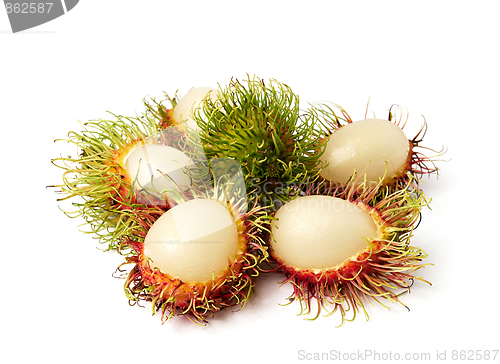 Image of exotic Thai fruit Rambutan or Ngo