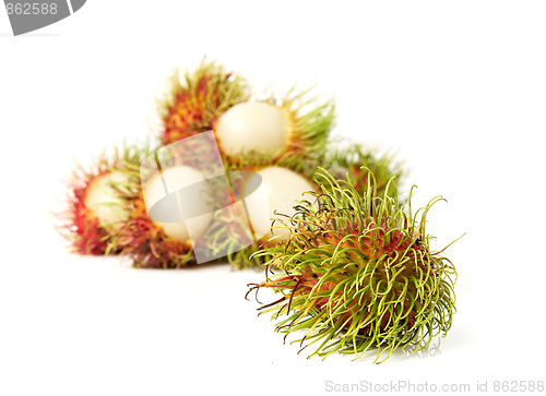 Image of exotic Thai fruit Rambutan or Ngo