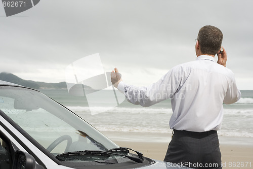 Image of Businessman talking on cell phone beside his car