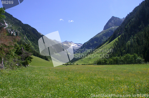 Image of Meadows in Austria