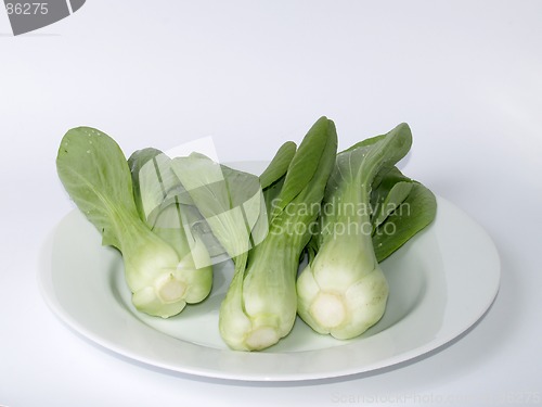 Image of Pak Choi