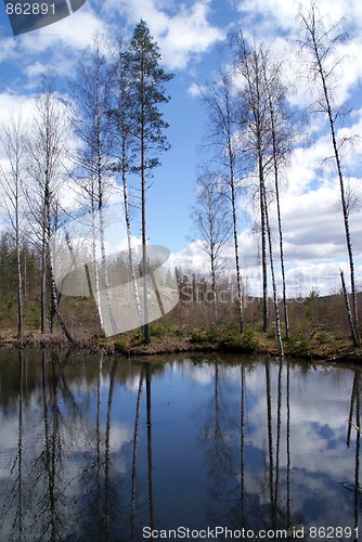 Image of Reflections on Forest Lake 