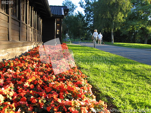 Image of Oslo summer