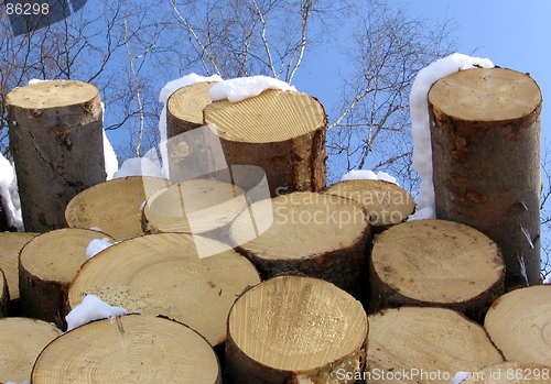 Image of Logs in the sky
