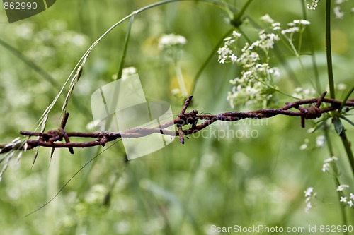 Image of Barbwire