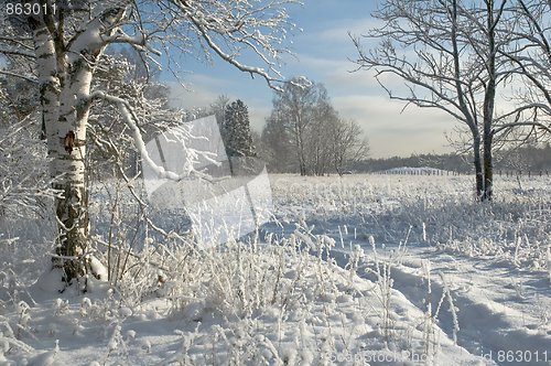 Image of Winter landscape