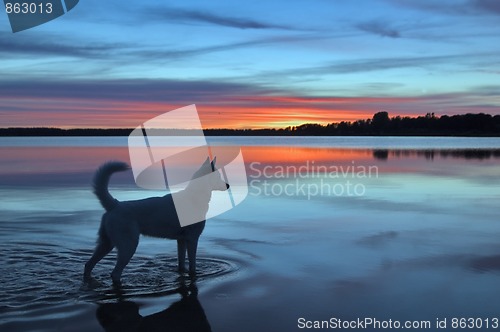 Image of Sunset on lake