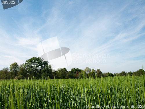 Image of Scenic countryside scene