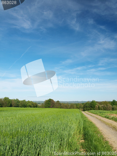 Image of Countryside scene