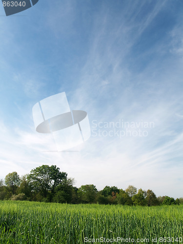 Image of Scenic countryside scene