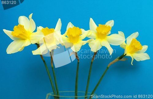 Image of Spring flowers