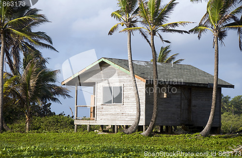 Image of cabana house with palm trees nicaragua