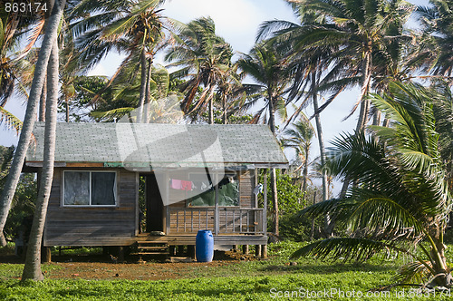 Image of cabana house with palm trees nicaragua