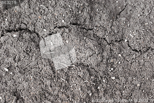 Image of soil background