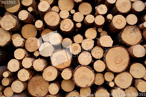 Image of Pine Logs Background