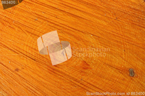 Image of Aspen Log Growth Rings