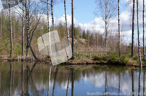 Image of Forest Lake in Springtime